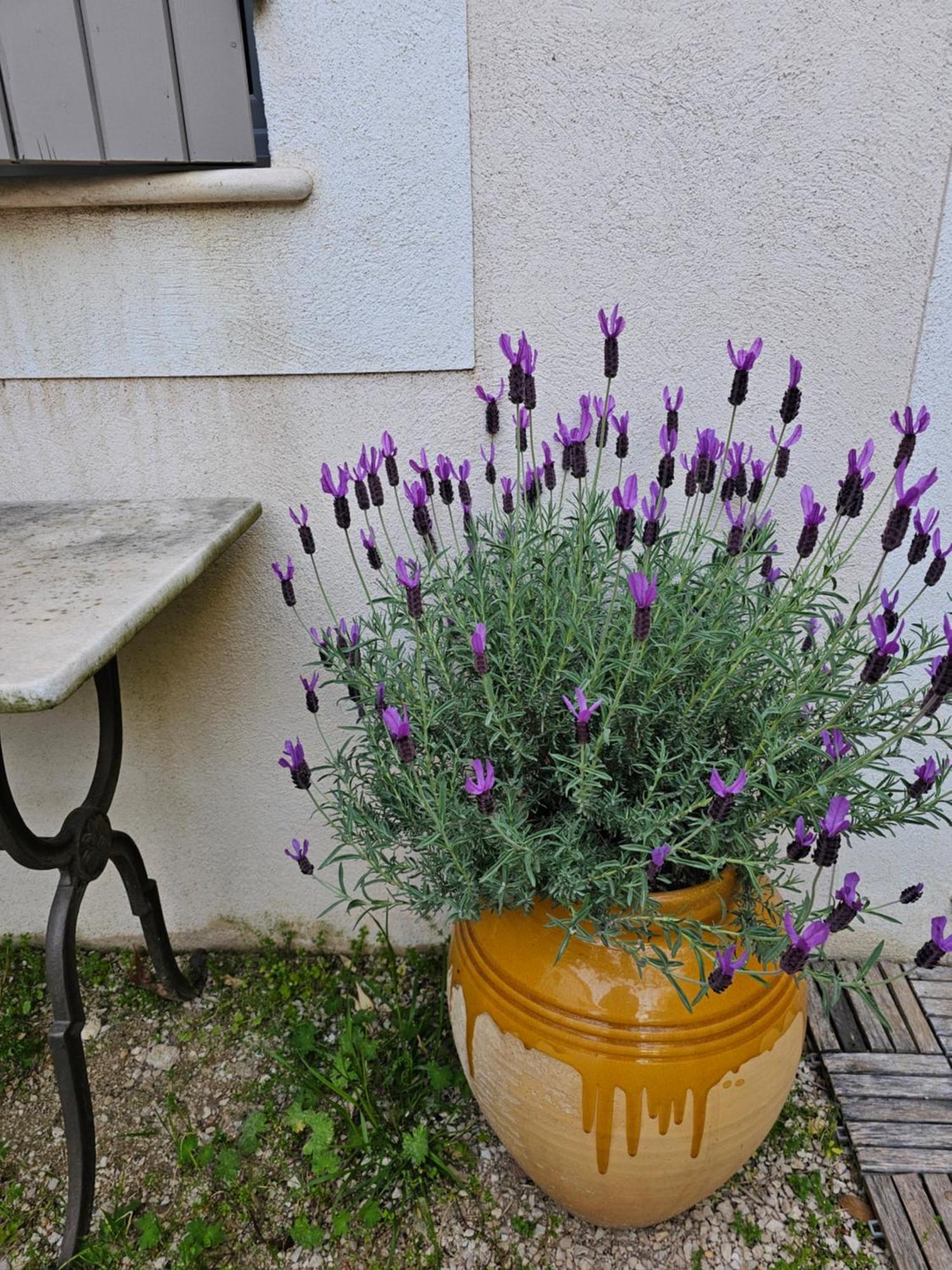 Gite Le Felibre Châteauneuf-lès-Martigues Exteriör bild